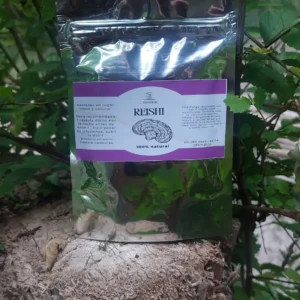 capsulas hongo reishi x30, producido y empaquetado por fungiraiz, argentina