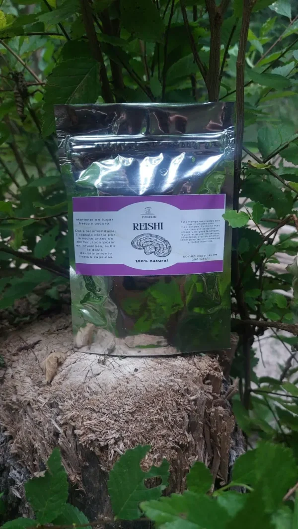 capsulas hongo reishi x30, producido y empaquetado por fungiraiz, argentina