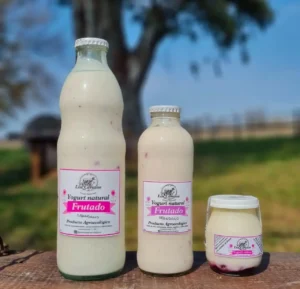 Yogurt natural agroecológico frutado. Producto Agroecologico de Los Cerezos Tambo en Lujan, Buenos Aires.